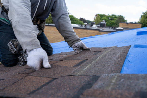 Best Gutter Installation and Roofing  in Buffalo, TX